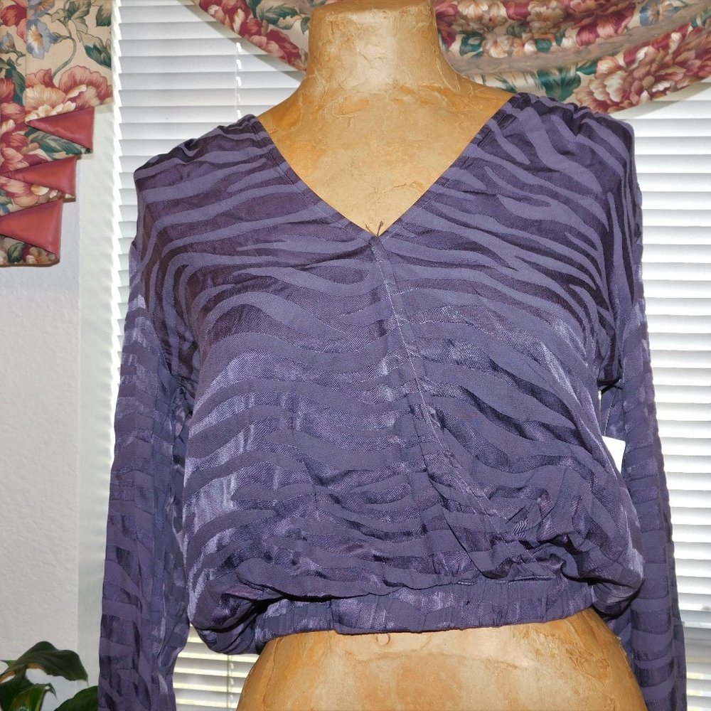 NWT $118 Graphite Gray Crop Top CLOTH & STONE XS 2 4